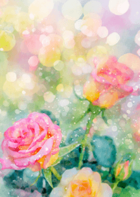 Beautiful rose flower(R1585)