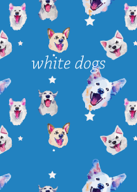 white dogs on blue