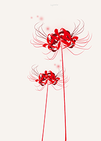 Lycoris red Background Beige