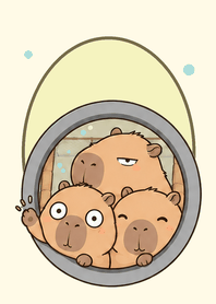 水豚一家・擠在一起