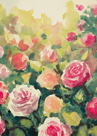 Beautiful rose flower(R4039)