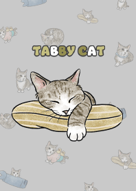 tabbytcat3 / grey