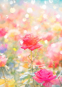 Beautiful rose flower(R5229)