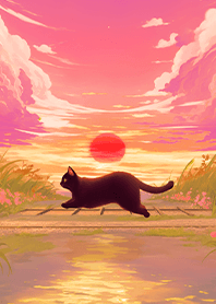 ท่องเที่ยวแมว 3 ( Carey Picks