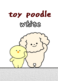 toy poodle dog theme6 white