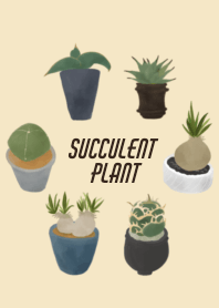 succulent plant!