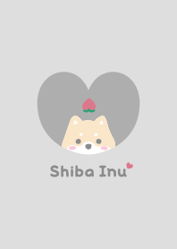 Shiba Inu2 Peach [gray]
