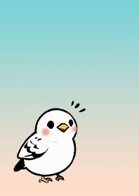 かわいい鳥