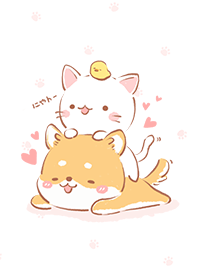 shiba & cat