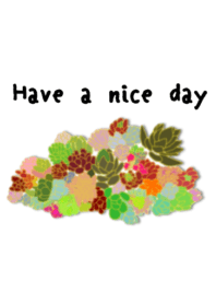 cute succulents