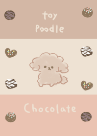 simple toy poodle chocolate beige.