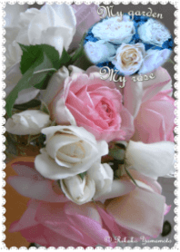 My garden, My rose_Pierre de Ronsard_6