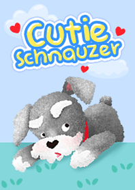 น้องหมาชเนาเซอร์สุดน่ารัก