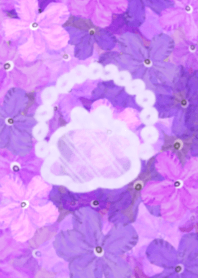 Blossoms:Brunfelsia/Gardening flowers -1