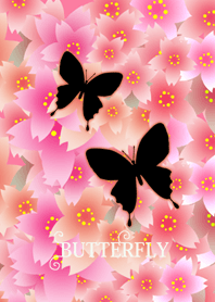 Butterfly twins.#50-1