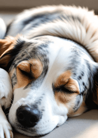 Mountain, Sea, and Moonlit Night be809d