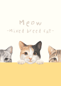 Meow - Mixed breed cat 01 - BEIGE/YELLOW