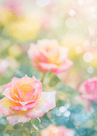 Beautiful rose flower(R2537)