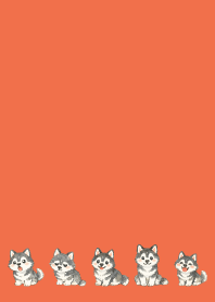 Smiling Siberian Husky3 on R&Y