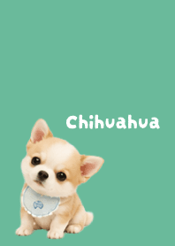 I love Chihuahuas03 blue green