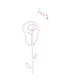 Rose rose / white