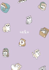 neko combo5 - purple