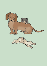 狗 臘腸犬_綠色