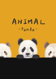 ANIMAL - Panda - PUMPKIN
