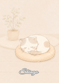 Cozy Lazy Cat: Shingo