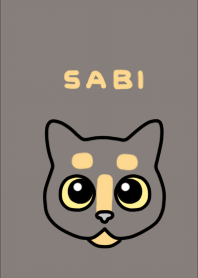 Tortoiseshell cat SABI