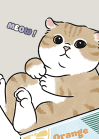 neko single16 / linen