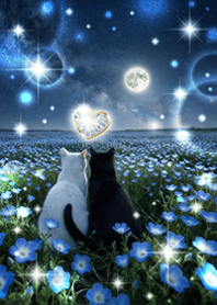 Love luck UP! Nemophila and cats