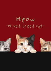 Meow -Mixed breed cat 01- CHRISTMAS RED