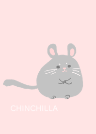 Long tailed Chinchilla