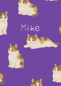Chubby Calico Cat on purple