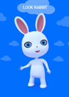 Look Rabbit