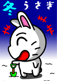 Winter Rabbit