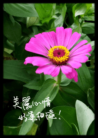 Jessie-wonderful mood