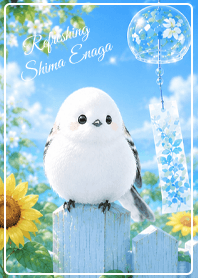 Refreshing Summer Shima Enaga