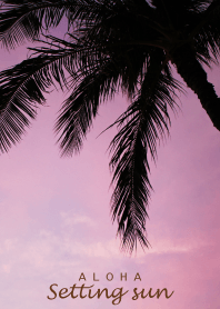 ALOHA -Setting sun- 6.