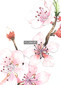 water color flowers_1080