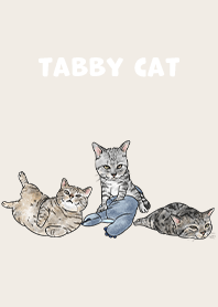 tabbycat5 / beige