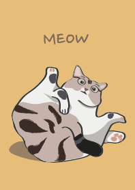 DJ house cat feet yellow