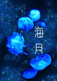 海月2
