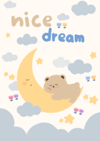 nice dream