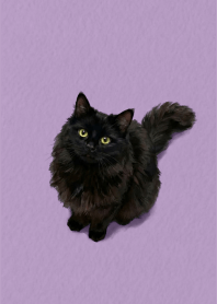 Black Cat Green Purple theme.