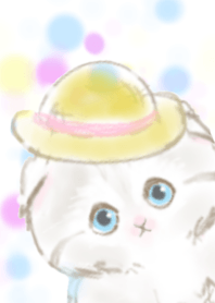 こねこ