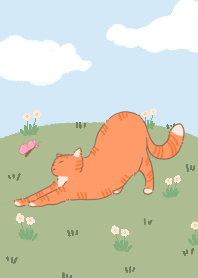 แมวส้มขี้อ้อน