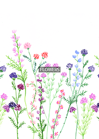 water color flowers_712