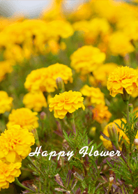 Happy yellow flower